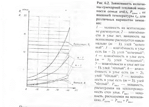 Основа Пчеловодства