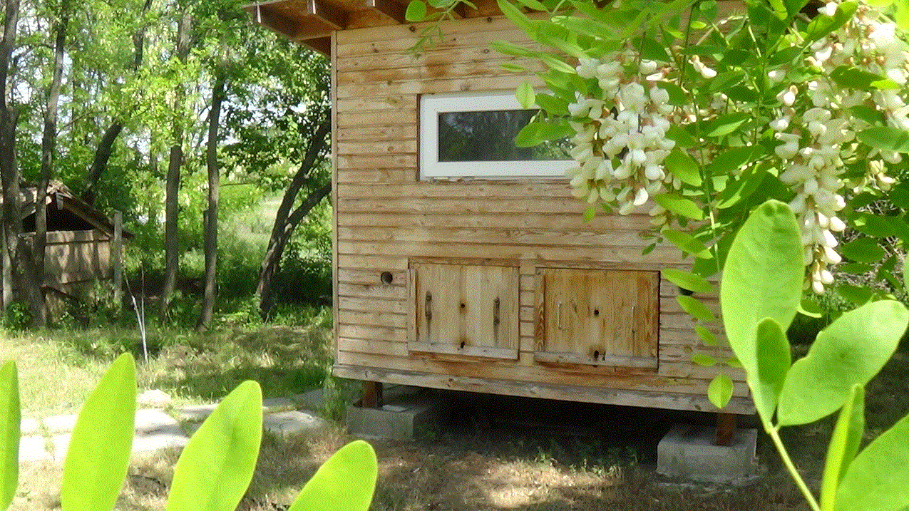 Методы Пчеловодства
